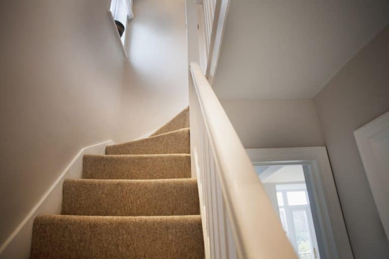 stairwell with clean carpet
